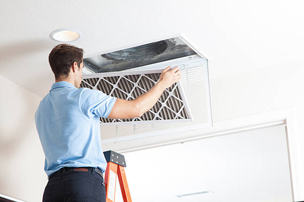 Best HVAC maintenance near me  in Wellington, CO